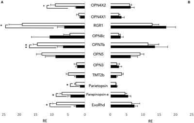 Zebrafish Circadian Clock Entrainment and the Importance of Broad Spectral Light Sensitivity